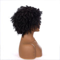 Short Kinky Curly Afro Wig