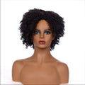 Short Kinky Curly Afro Wig