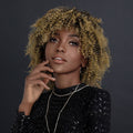 Women's African Small Volume Explosive Head Fluffy Wig Suitable For Party Time