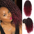 Ombre Color Drawstring Curly Ponytail