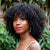 Wigyy Ins Hot Black African Small Curly Bangs Wig Suitable For Everyday Use